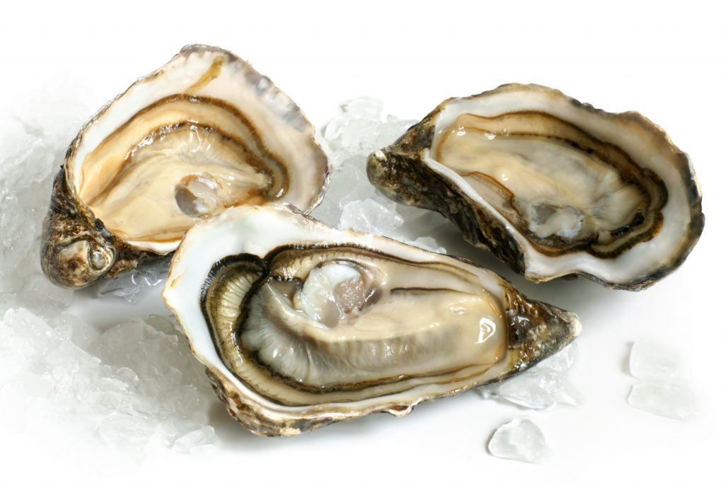 Maldon Oysters *只限Sale門市自取