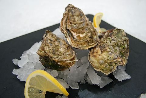 Maldon Oysters *只限Sale門市自取