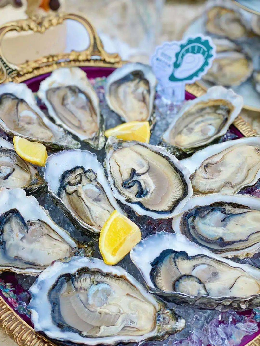 Maldon Oysters *只限Sale門市自取
