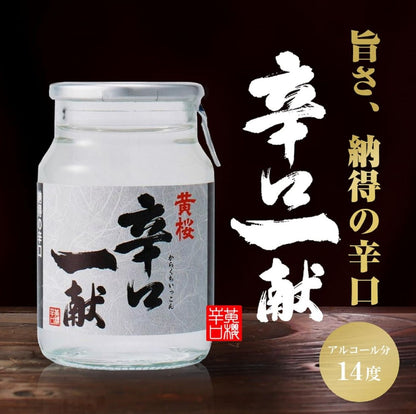 Karakuchi Ikkon Sake 100ml X5