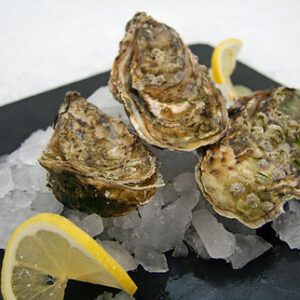 Maldon Oysters *只限Sale門市自取